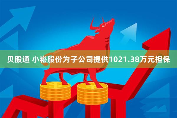 贝股通 小崧股份为子公司提供1021.38万元担保