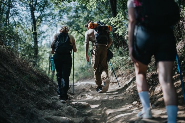 老虎配资 网红博主，我真的看腻了