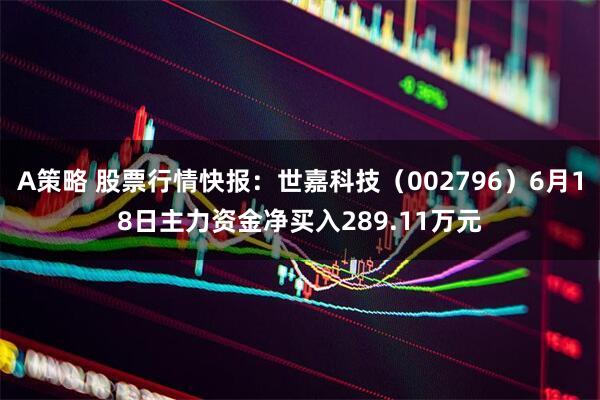 A策略 股票行情快报：世嘉科技（002796）6月18日主力资金净买入289.11万元